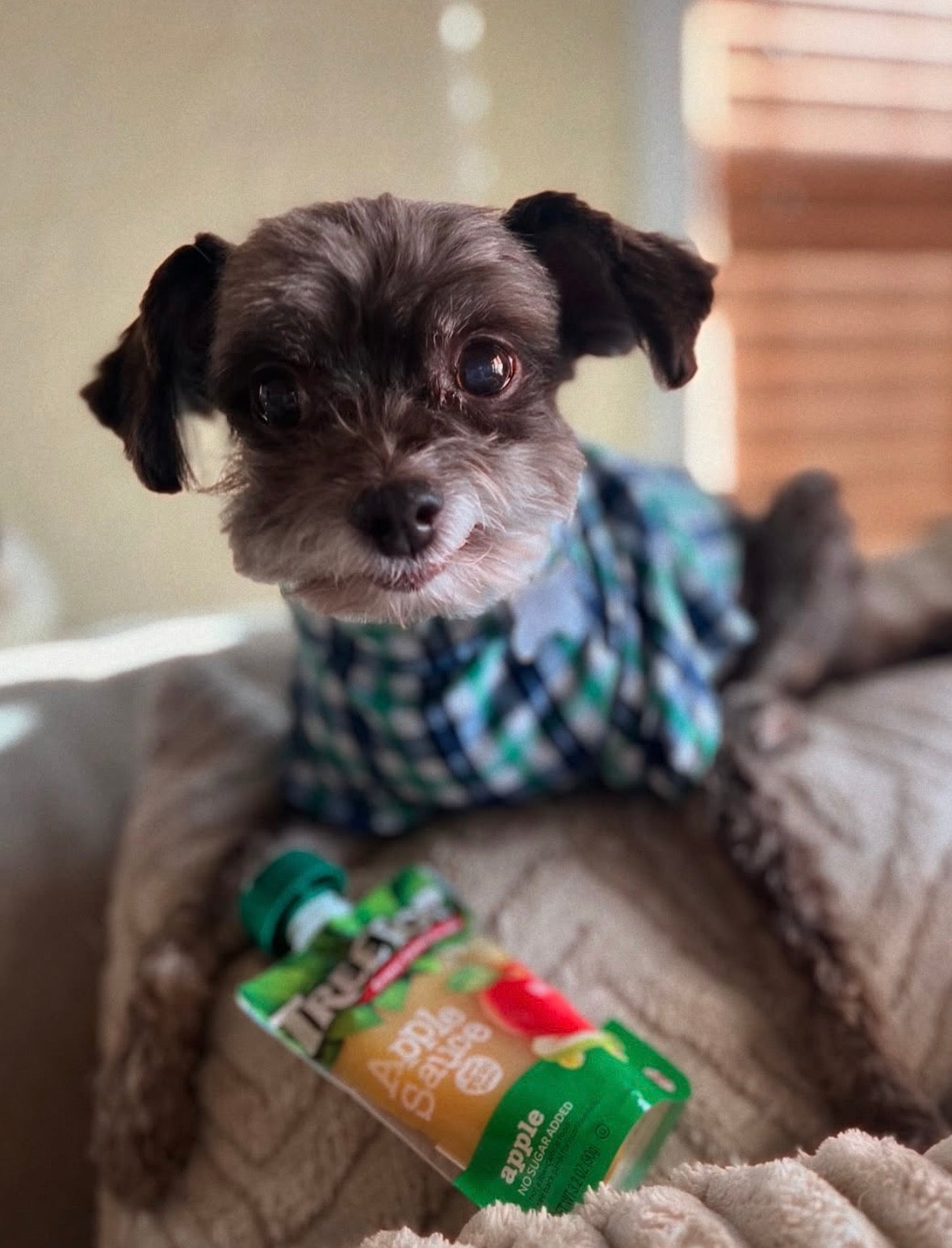 HERSHEY'S FOLLOW UP VISIT