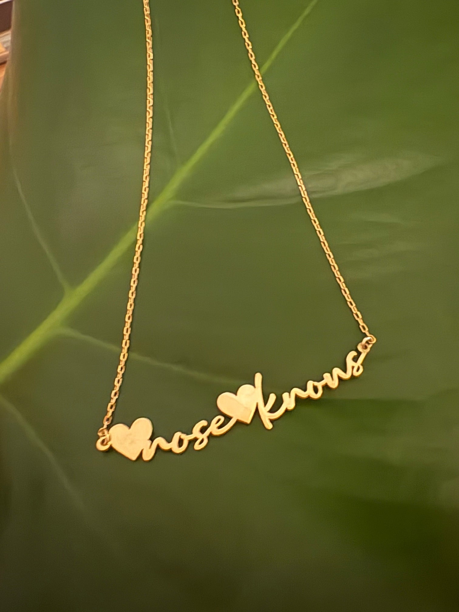 Heart Nose Heart Knows Necklace