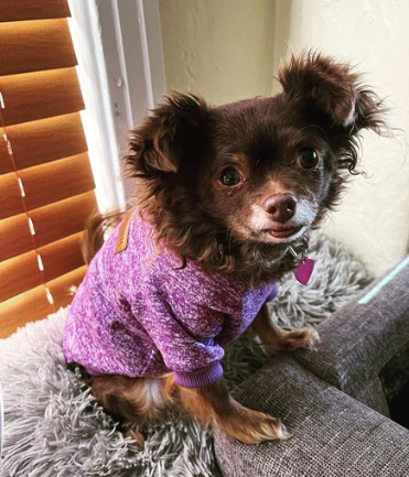 COCO's DENTAL SURGERY